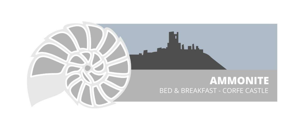 Ammonite Bed & Breakfast Корф Касъл Екстериор снимка